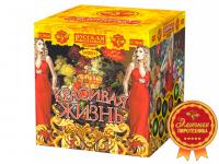 Красивая жизнь Фейерверк купить в Десногорске | desnogorsk.salutsklad.ru