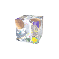 Новогодняя ночь Салют купить в Десногорске | desnogorsk.salutsklad.ru