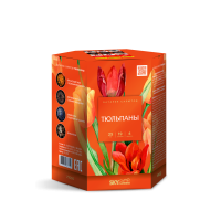 Тюльпаны Салют купить в Десногорске | desnogorsk.salutsklad.ru