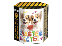 Счастье есть! Салют купить в Десногорске | desnogorsk.salutsklad.ru