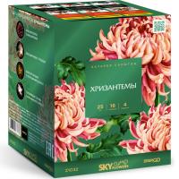 Хризантемы Фейерверк купить в Десногорске | desnogorsk.salutsklad.ru