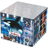 Косатка Фейерверк купить в Десногорске | desnogorsk.salutsklad.ru