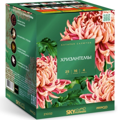 Хризантемы Фейерверк купить в Десногорске | desnogorsk.salutsklad.ru