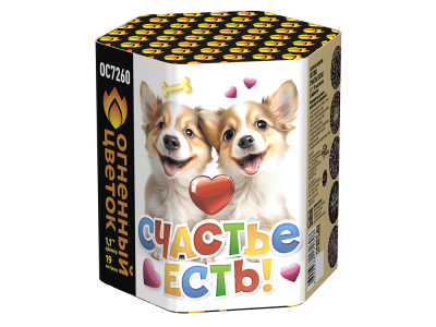 Счастье есть! Салют купить в Десногорске | desnogorsk.salutsklad.ru