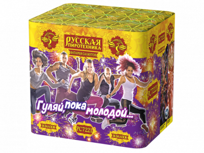 Гуляй, пока молодой Салют купить в Десногорске | desnogorsk.salutsklad.ru