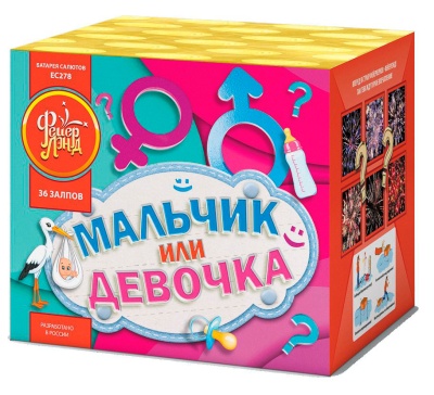 Мальчик или девочка М Фейерверк купить в Десногорске | desnogorsk.salutsklad.ru